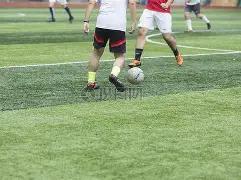 中国男篮挑,战韩国,北京,大发彩票官方网站,大发彩票官方,大发快三彩票,大发彩票体育平台,大发彩票赛事机构,大发彩票直播运营公司