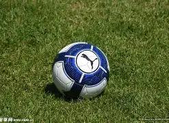 Checkout,OpenAI,联手,大发彩票官方网站,大发彩票官方,大发快三彩票,大发彩票体育平台,大发彩票赛事机构,大发彩票直播运营公司