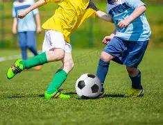 双色盛宴,揭秘,期双色球,大发彩票官方网站,大发彩票官方,大发快三彩票,大发彩票体育平台,大发彩票赛事机构,大发彩票直播运营公司