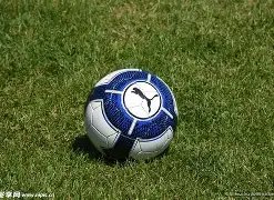 彩运亨通,揭秘,预测秘籍,大发彩票官方网站,大发彩票官方,大发快三彩票,大发彩票体育平台,大发彩票赛事机构,大发彩票直播运营公司