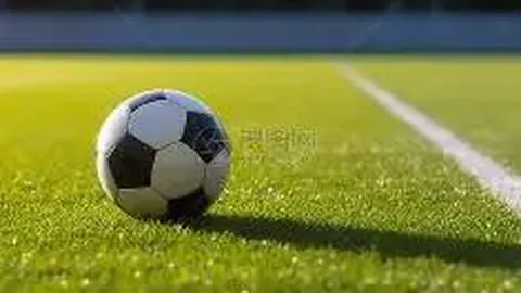 女租客欠租失联，公寓沦为垃圾场