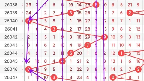 南华天大乐透2026027期推荐：精选52后区号码0409，
