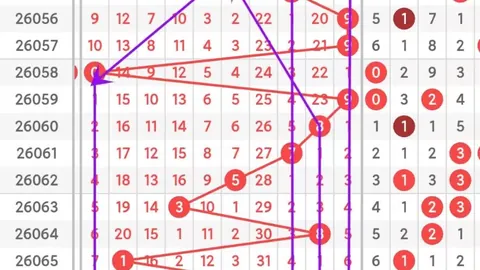 大乐透26040期钟吾专家质合分析推荐汇总