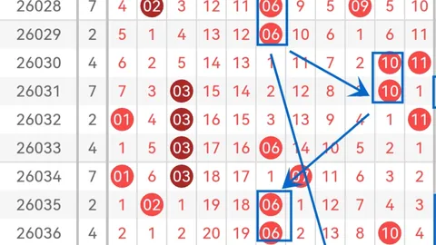 双色球2026029期号专家复式推荐：质合分析前区十码详解