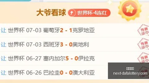 大发彩票